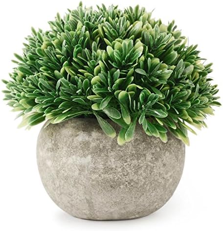 Kumii Artificial Plastic Potted Plant Small Topiary Plants in Pot, Desk Office Living Room Decoration (Green Leaf)