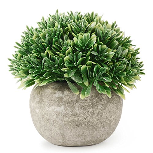Kumii Artificial Plastic Potted Plant Small Topiary Plants in Pot, Desk Office Living Room Decoration (Green Leaf)