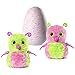 Hatchimal Glittering Garden Gleaming Burtle pink/green with CollEGGtible Blind Pack!
