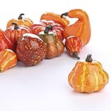 Autumn Mixture of 12 Artificial Gourds and Pumpkins for All Your Fall Harvest Decorating and Displaying