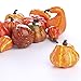 Autumn Mixture of 12 Artificial Gourds and Pumpkins for All Your Fall Harvest Decorating and Displaying