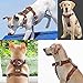 Beirui Genuine Leather Dog Harness - No Escape Harnesses for Medium Large Dogs Pet Training Walking - Easy Adjustable Heavy Duty Strap Harness (Chest for 24-29