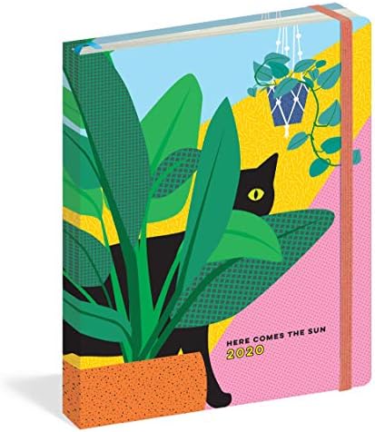 Here Comes the Sun 17-Month Personal Planner with 500+ Stickers 2019-2020 (Pipsticks+Workman)