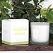 NEOVIVA HOME Scented Candles with PEAR & FIG with 100% Natural Essential Oils Aromatherapy Candle Soy Wax for Stress Relief and Aromatherapy Quality Gift 9.9 Ounce (White, Large)thumb 1