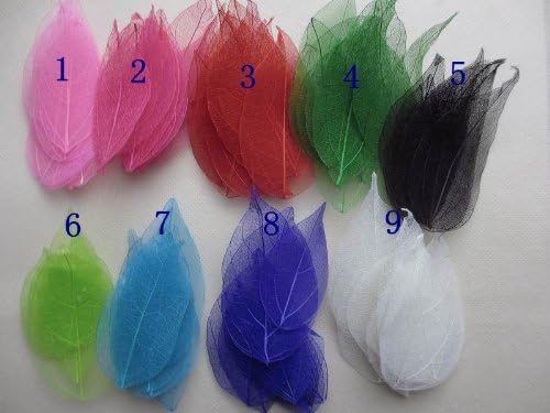 Wholesale Organic Craft 100pcs mixed color Natural skeleton leaves for DIY 056004