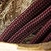 Paracord Wild Plumb Maroon 50 ft. Hank, 7 Internal Strands, 550 Lb. Break Strength. Military Survival Parachute Cord for Bracelets & Projects. Guaranteed Made In US. Includes 2 eBooks.