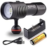 Evolva Future Technology D02 Scuba Diving Underwater 100M Video Camera Photography Light Torch Flashlight (Torch + Battery + Charger)