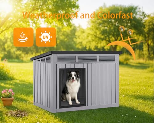 Dog House Outdoor Insulated Leaking When It Rains? 5 Fixes Before You Replace It 8 Thumbnail 8