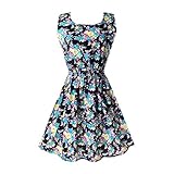 Hee Grand Women's Casual Summer Fit and Flare Floral Sleeveless Dress Chinese Bflower