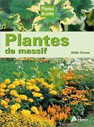 Plantes de massifs