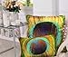 Fablegent XH6 Elegant Decorative Throw Pillow Cover - Peacock Feathers Design on Both Sides