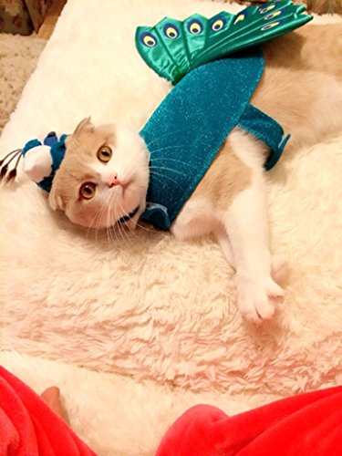 Kailian ® Hot Cute Dog Cat Hat - Image 9