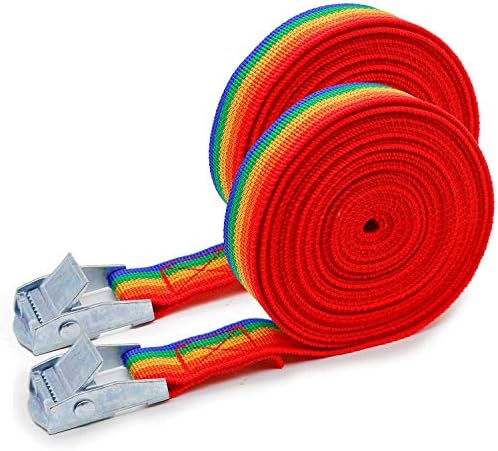 2x Lashing Straps with Buckle Good for Roof-top Tie Down Mounted Cargo(16'x1")