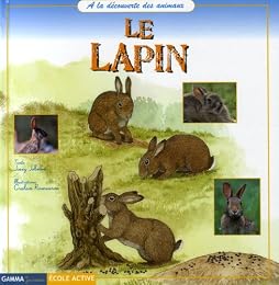 Le  lapin