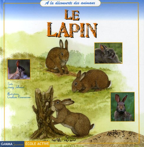 Le  lapin