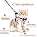 Cat Harness and Leash Set Kitten Harness with Leash for Walking Adjustable Soft Vest Harness for Cats Puppy Safety Walk/Run Medium