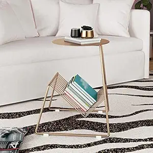 Indian Decor. 48207 Metal Sofa Side Table Small White Coffee Table Magazine Storage Leisure Coffee Table Table (Color: Golden, Size: 45 * 45 * 60cm)