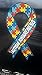 2 Large Size Autism Awareness Ribbon Car Magnets 8