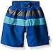 i play. by green sprouts baby boys Colorblock With Built-in Reusable Absorbent Diaper infant and toddler swim trunks, Royal/Aqua, 6 Months US