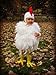 Amoureux Baby Toddler Pilot Hat - 100% Cotton Super Soft Bonnet. white 6m