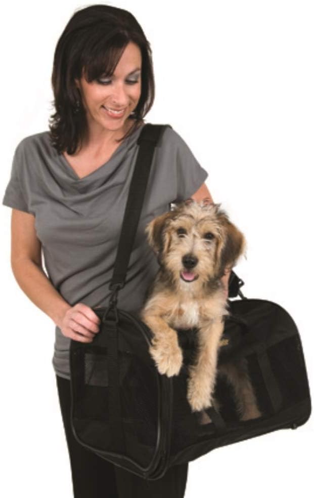 Petmate Soft-Sided Kennel Cab Small Pet Carrier Two Easy-Open Doors 3 Stylish Colors 2 Sizes : Soft Sided Pet Carriers : Pet Supplies