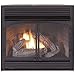 Duluth Forge Dual Fuel Ventless Fireplace Insert-32,000 BTU, Remote Control, FDF400RT-ZC, Black primary