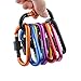 D-FantiX Aluminum Carabiner Keychain, Locking Carabiner Clip Outdoor Camping Equipment Pack of 10