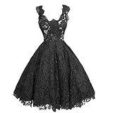 Buenos Ninos Women's Sleeveless Fit and Flare V-neck Lace Evening Gown Dress