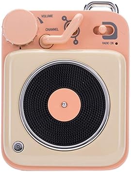 bluetooth speaker for car amazon