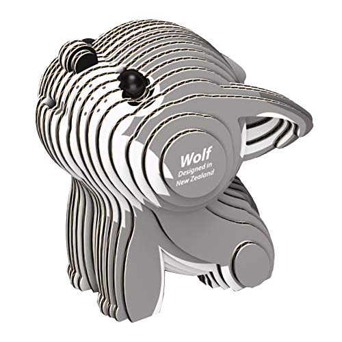 2 Brainstorm+Toys+D5008+EUGY+Craft