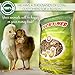 PICKY NEB Dried Mealworms 100% Non-GMO 30 Oz - Mealworms for Birds, Chickens, Ducks - Perfect High-Protein Treats - Whole Large Meal Worms, Dried for Chickens and Bluebird Food Bulk