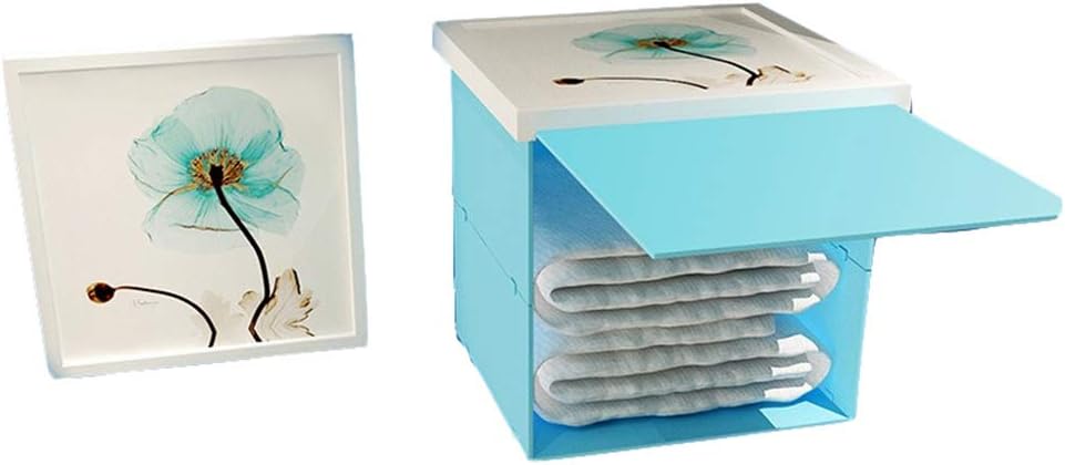 DQM Punch-Free Wall-Mounted Folding cabinets, Wall Mounted Wardrobe Mural Storage Cabinet Shelf Storage, for Bedroom, Living Room, Hallway, Bathroom, Waterproof, Non-Toxic and Beautiful