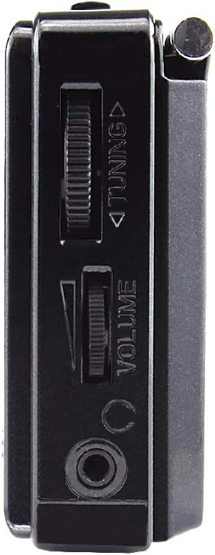 XHDATA D-328 Shortwave AM FM DSP Portable Small Radio Stereo Radio with Rechargeable Battery Earphone Jack Portable Multimedia Speaker with USB Micro SD Card(Black): Home Audio & Theater