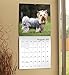 Yorkies Wall Calendar (2017)