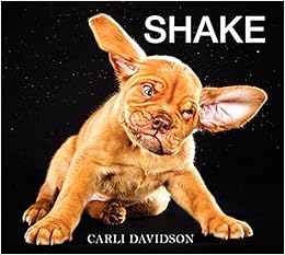 Shake, by Carli Davidson