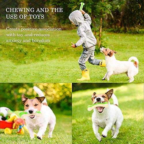 SHINCO EETOYS Dog Chew Toy, Indestructible Dog Toys for Aggressive Chewers, Teeth Cleaning, Safe Durable Bite Resistant Toothbrush Stick for Puppy Dog (Medium) - Thumbnail 5
