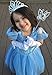 Cinderella Crystal Princess Party Costume Dress with Accessories (5-6)