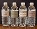 12 Harry Potter Vintage Apothecary Inspired Birthday Party Halloween Sticker Labels 2 litter, Wine, Water bottle potion BONUS 12 FREE Harry Potter Bottle Potion Labels