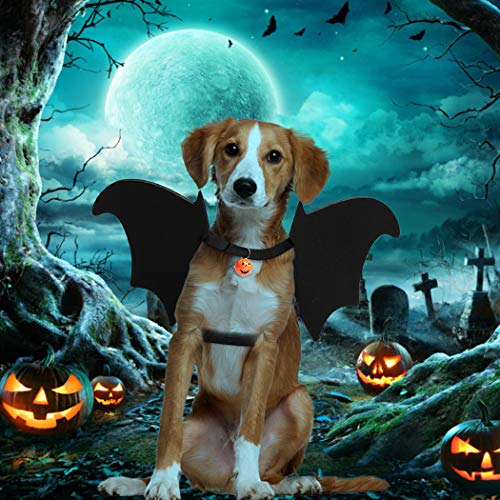 Legendog Halloween Costumes for Dogs, Dog Halloween Bat Costume for Dogs, Cool Pet Halloween Costumes for Dogs, Bat Wings for Dogs with Dog Leash and Pumpkin Bells