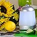 GreenAir SpaVapor+ Instant Wellness 150ml Essential Oil Diffuser for Aromatherapy