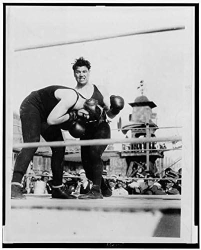 Amazon Photo ジャックデンプシーsluggingトニー Fuente ミシシッピflood資金 サンタモニカ カリフォルニア キッチン用品 オンライン通販