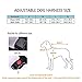 Upgrade Version-Dog Vest Harness,Pet Dog Adjustable Padded Mesh Vest Body Harness with Large Handle, Comfort control for Medium large dogs, Perfect for Daily Training, Walking, Hiking, No Choking-L