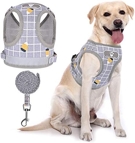 Cnikpet Step- in Dog Walking Vest Harness with Buckle, No Pull Puppy Cat Harness Leash Sets for Walking Escape Proof, Reflective Adjustable Easy Put on Small and Medium Dogs