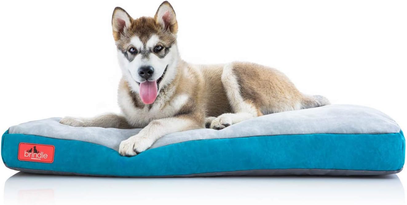 shredded memory foam dog bed