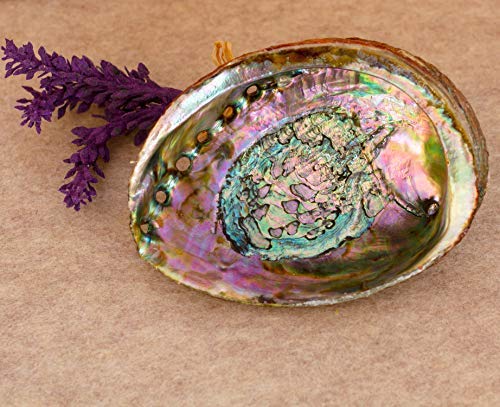Home Cleansing and Blessing Kit - Smudging Chakra Balancing, White Sage, Palo Santo Sticks, Abalone Shell, Candle, Healing Incense, Good Luck, Purifying, Protection, Spiritual Cleansing, Meditation
