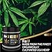 ReU Hemp Healing Pain Relief Salve - 500MG Organic Hemp Extract Cream with Pure Natural Essential Oils - Relieves Inflammation, Muscle, Joint, Back, Knee, Nerve Pain - Made in USA (2 oz)