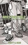 Indestructible: Growing up Queer, Cuban, and Punk in Miami by 