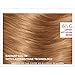 L'Oreal Paris ExcellenceAge Perfect Layered Tone Flattering Color, 6.5G Lightest Soft Golden