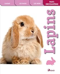 Lapins
