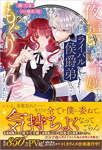 夜這いを決意した令嬢ですが間違えてライバル侯爵弟のベッドにもぐりこんでしまいました メリッサ 茜 たま 椎名 明 本 通販 Amazon